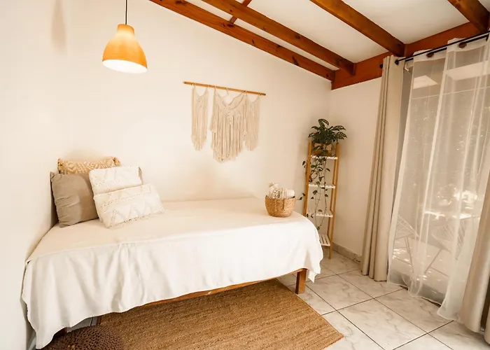 Tribe Boutique Hotel - Adults Only